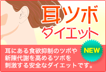 食欲抑制、新陳代謝を高める耳ツボダイエット